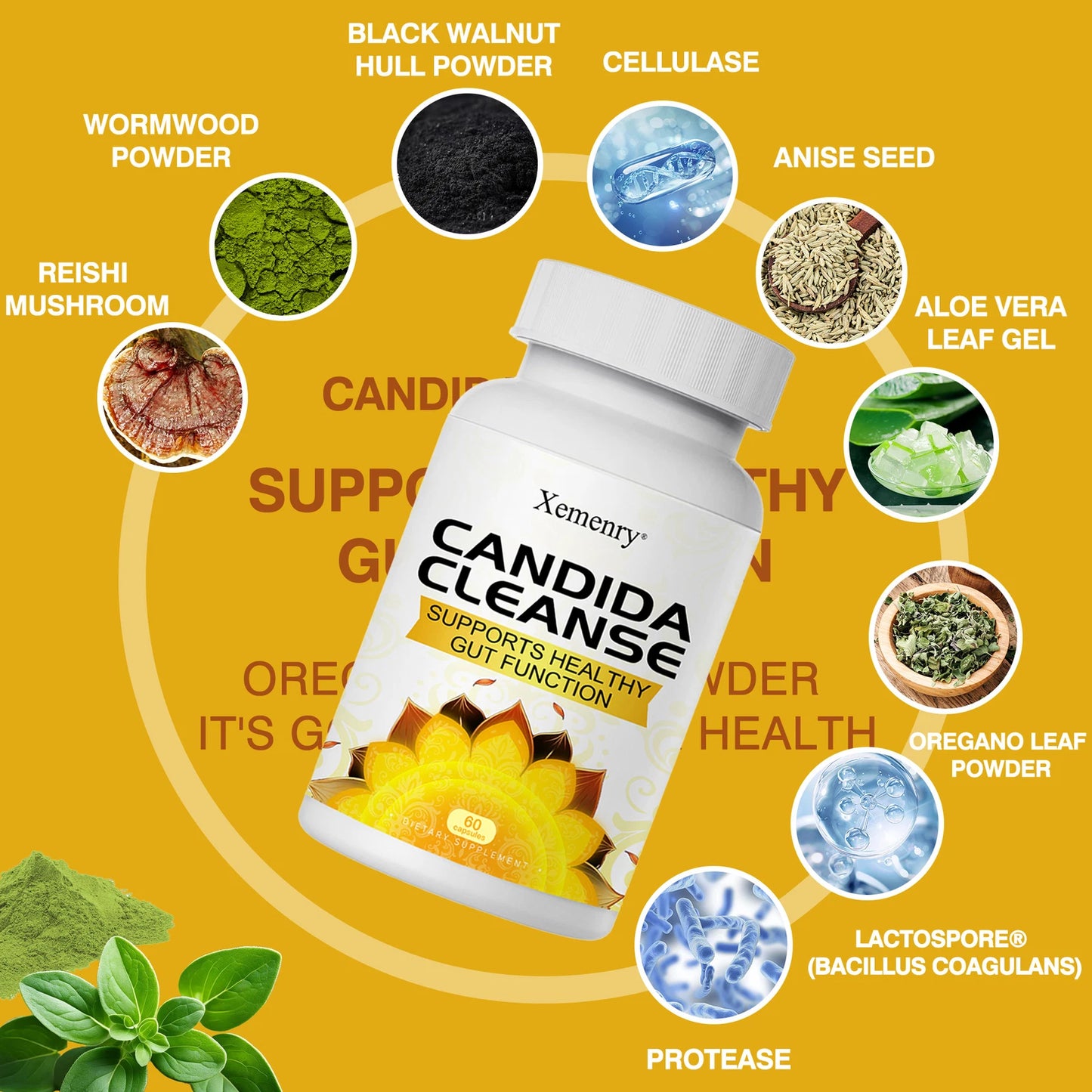 Super Oferta CandidaBalance Reduce hinchazón y gases, mejorando la salud intestinal.